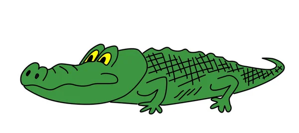 Zöld Krokodil Támaszkodva Fehér Háttér — Stock Fotó