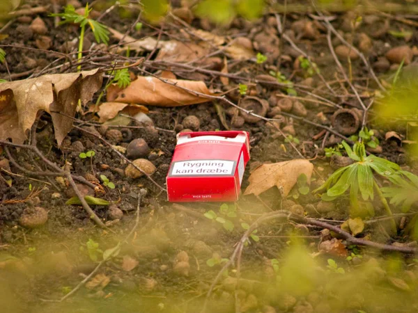 环境不和 空烟盒躺在灌木丛中 — 图库照片