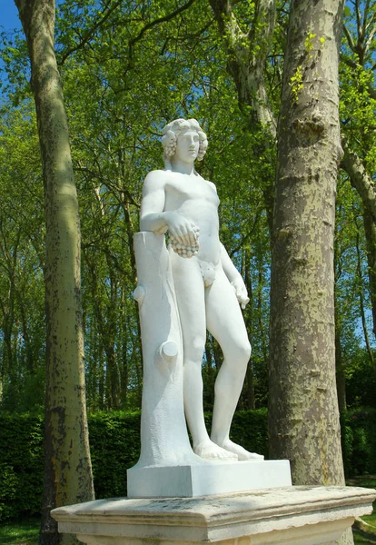 Estatua Versailles Vista Cerca — Foto de Stock