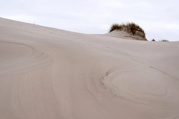 Dunes Sur Île Frise Nord Amrum Allemagne — Photo