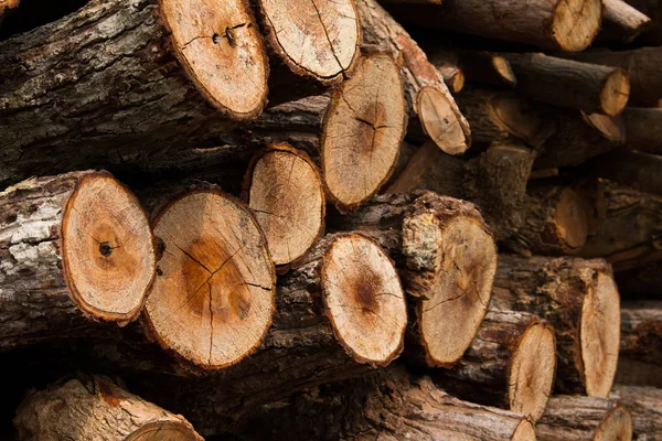 Stacked Wood Pine Timber Construction Buildings Background — Stock Photo, Image