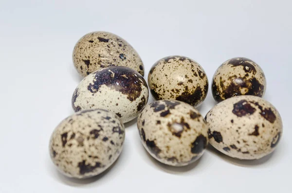 白褐色模様ウズラの卵 — ストック写真