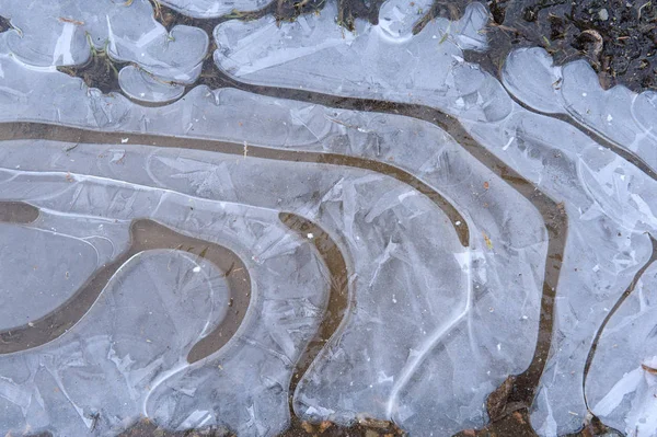 Die Ersten Fröste Dünnes Eis Auf Einer Pfütze — Stockfoto