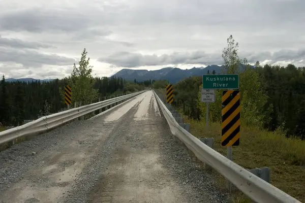 Wrangell Elias Milli Parkı Korunağı Olan Amerika Birleşik Devletleri Milli — Stok fotoğraf