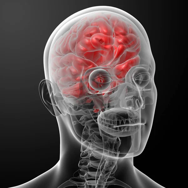Ακτινογραφία Ανθρώπινου Εγκεφάλου Κοντινό Πλάνο — Φωτογραφία Αρχείου