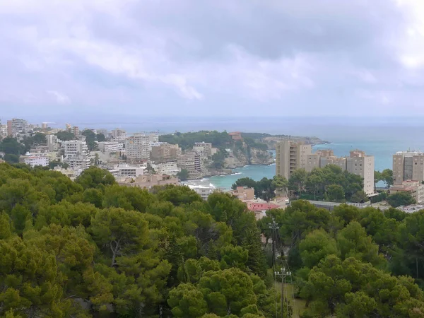 Strand Öbölben Azure Cala Gat Mallorca Szigetén Spanyolország — Stock Fotó