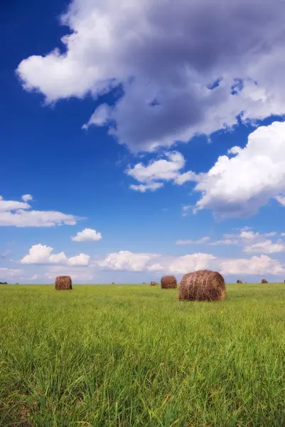 Balle Paglia Sul Campo Sotto Cielo Blu — Foto Stock