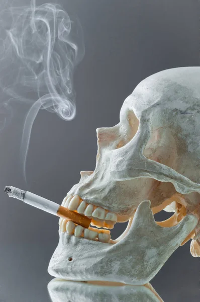 Crânio Com Cigarro Queimado Boca — Fotografia de Stock