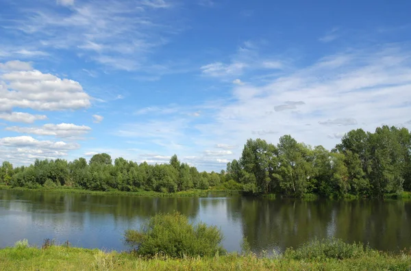 Hermoso Paisaje Verano Con Río — Foto de Stock