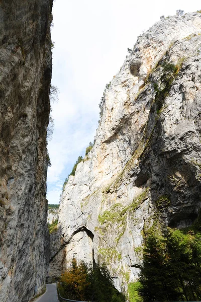 Rotsen Van Trigrad Gorge Rhodope Mountains Bulgarije — Stockfoto