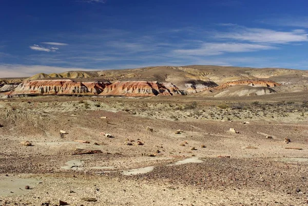 Sarmiento Patagonia Arjantin Için Içinde Taşlaşmış Orman Manzara — Stockfoto