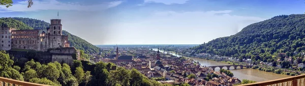 Heidelberg Şehir Neckar Nehri Panoraması Almanya — Stok fotoğraf