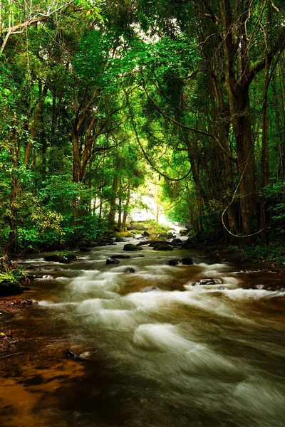 Cascada Pha Dok Seaw Chiang Mai Tailandia — Foto de Stock