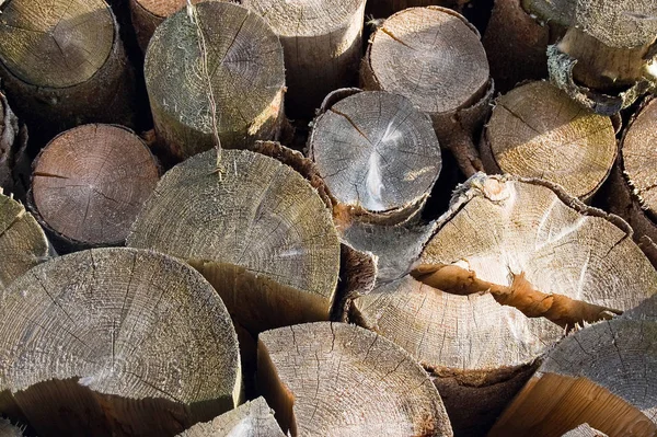 Close Stack Logs — Stock Photo, Image