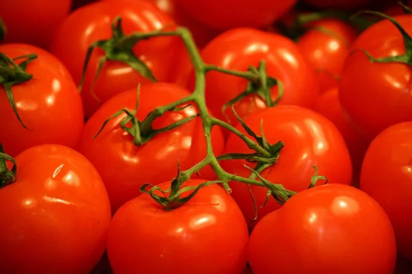 Primer Plano Los Tomates Cherry — Foto de Stock