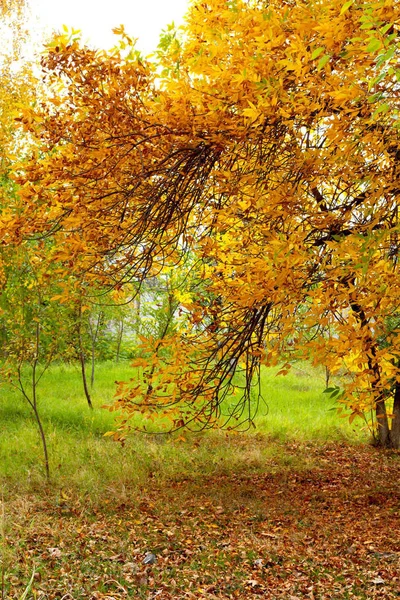 自然の景色 美しい風景 — ストック写真