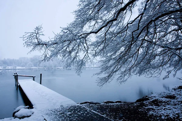 Paesaggio Invernale Con Albero Coperto Neve Molo Lago Coperto Ghiaccio — Foto Stock