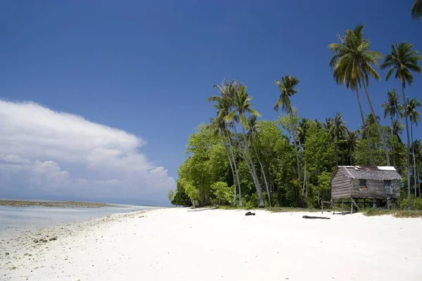 一个偏远的马来西亚热带岛屿 有深蓝色的天空 白色的沙 一个阿塔普海特和椰子树的图像 — 图库照片