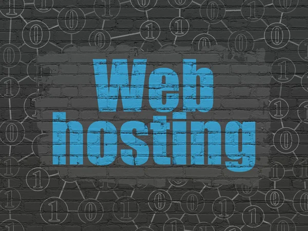 Conceito Desenvolvimento Web Pintado Texto Azul Web Hosting Fundo Parede — Fotografia de Stock