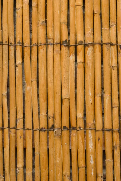 Tekstura Wykonana Bambusowych Pałeczek — Zdjęcie stockowe