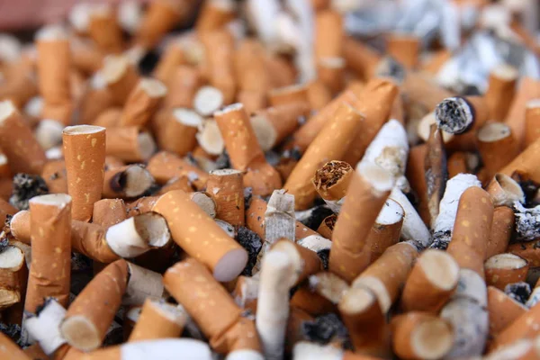 Plein Mégots Cigarettes Vue Rapprochée — Photo