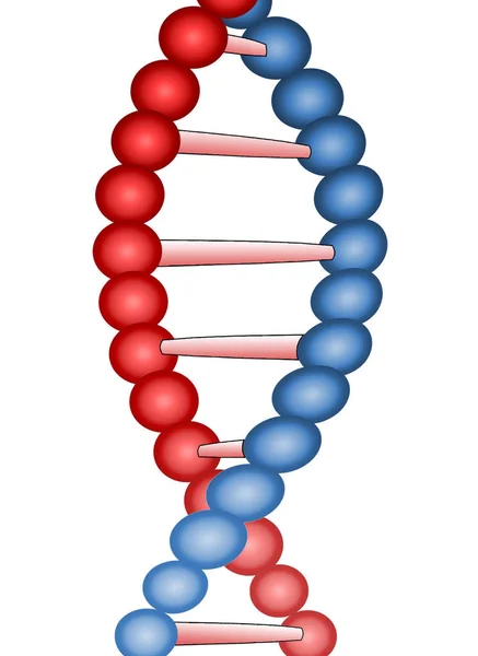 Dna Molekyl Genetisk Information Isolerad Närbild — Stockfoto