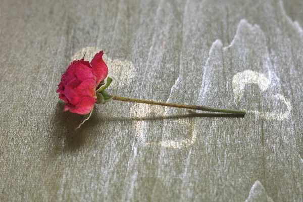 Eine Getrocknete Rose Auf Einem Alten Grünen Holztisch — Stockfoto