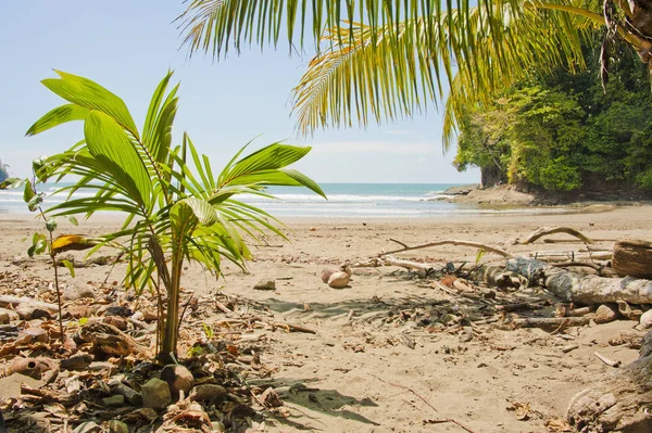 Deserted Beautiful Beach Uvita Costa Rica — Stock Photo, Image