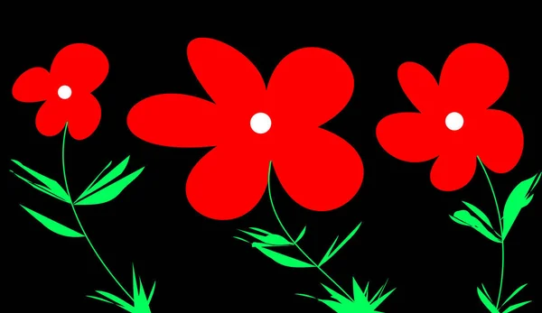 Tři Červené Květiny Černém Pozadí — Stock fotografie