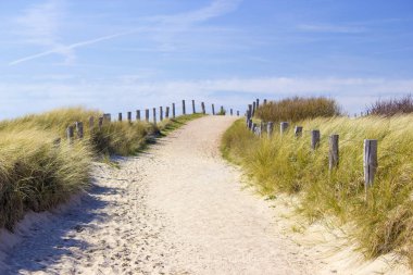 Path trough the dunes, Zoutelande, the Netherlands clipart