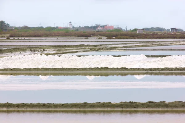 Kuru Pelet Içine Deniz Tutmak Için Bir Yöntemdir — Stok fotoğraf