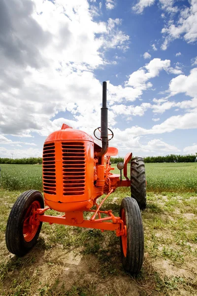 Gammel Orange Retro Traktor Felt - Stock-foto