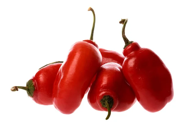 Isolated Macro Image Red Mexican Chillies — Stock Photo, Image