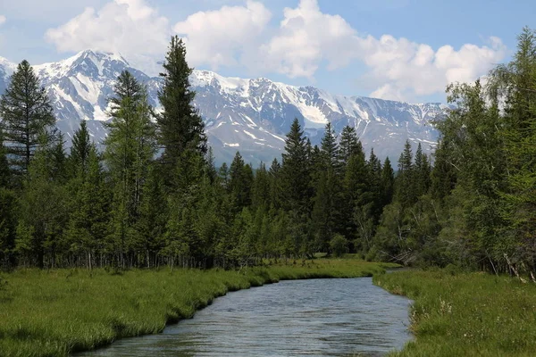 Altai Região Rússia Paisagens Montanhosas — Fotografia de Stock