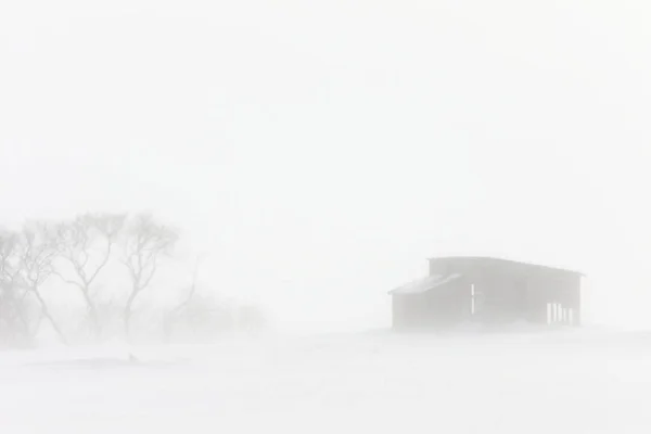 Edificios Blizzard Granja Saskatchewan — Foto de Stock