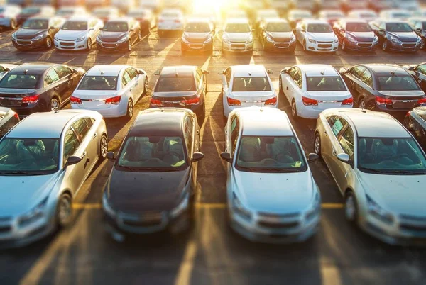 Veículos Revendedores Estoque Carros Novos Que Esperam Clientes Parque Estacionamento — Fotografia de Stock