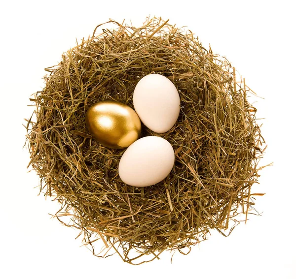 Dos Huevos Simples Uno Oro Ponen Nido —  Fotos de Stock