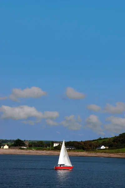 Jachta Plující Youghal Bay Irsku — Stock fotografie