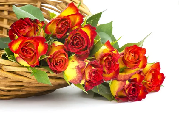 Красные Желтые Розы Корзине — стоковое фото