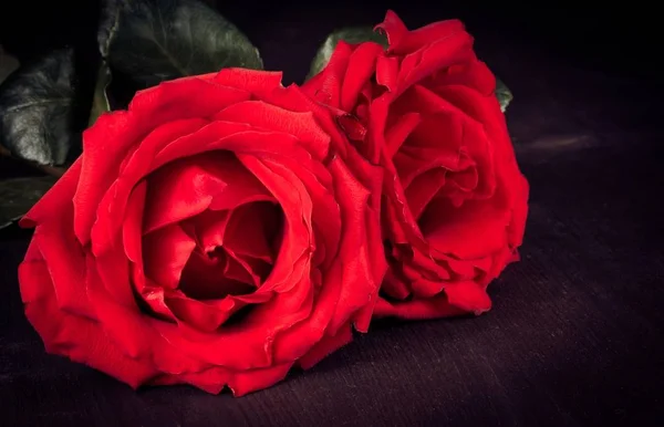 Dos Rosas Madera Vieja Estilo Viejo Día San Valentín Concepto —  Fotos de Stock