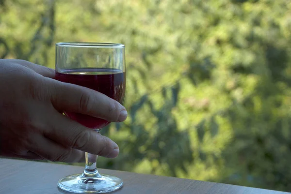 Vinho Tinto Livre Extrema Profundidade Foco Rasa Uvas Videira Vermelha — Fotografia de Stock