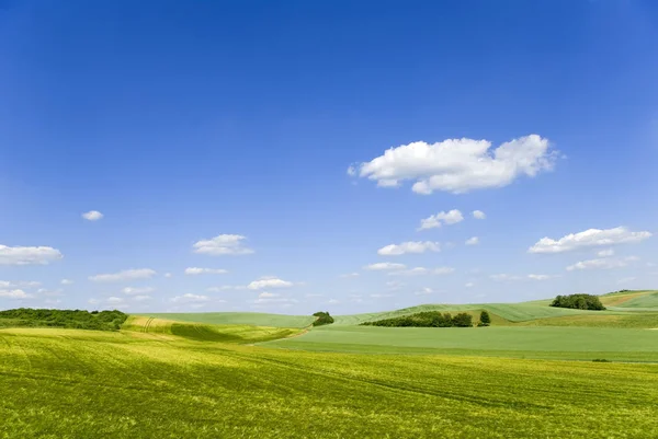 Countryside Landscape Day Time — Stock Photo, Image
