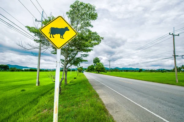 Güzel Bir Köy Yolu Boyunca Parlak Sarı Bir Işareti Tayland — Stok fotoğraf