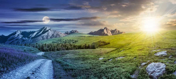 Vinte Quatro Horas Conceito Paisagem Verão Composto Com Alta Grama — Fotografia de Stock