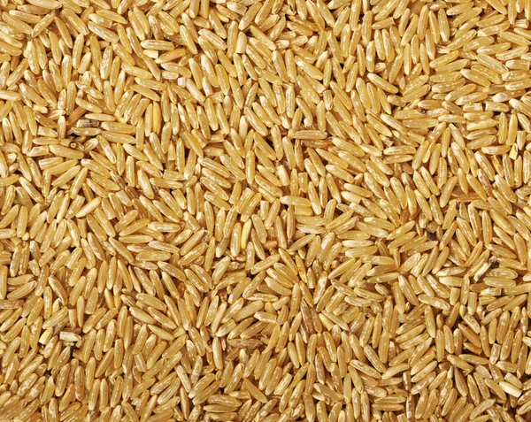 Arroz Selvagem Marrom Fundo — Fotografia de Stock