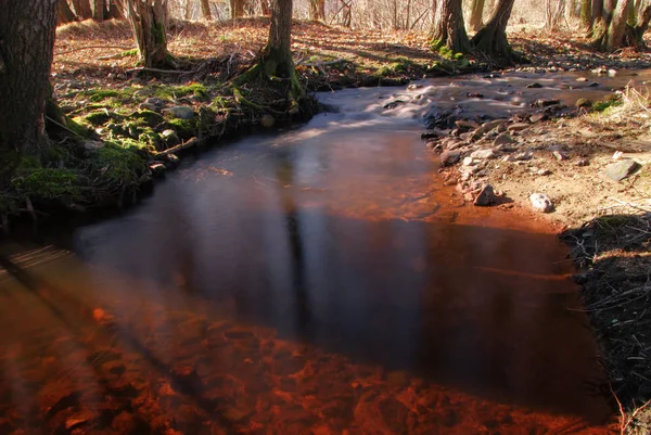 Rivière Sang Ruisseau Avec Une Eau Rouge — Photo