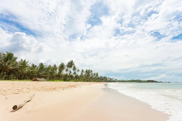 Balapitiya Sri Lanka Asia Una Rama Madera Playa Balapitiya — Foto de Stock