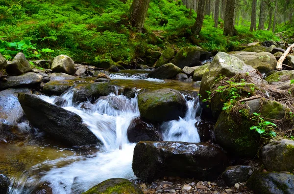 Vallée Montagne Avec Rivière Été Beau Paysage Été — Photo