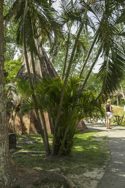 Thailand Südostasien Naturlandschaft Exotische Flora Und Fauna — Stockfoto