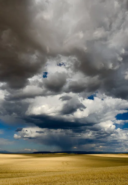 Κυλιόμενου Πεδίου Και Σύννεφα Καταιγίδας Κομητεία Τέτον Αϊντάχο Ηπα — Φωτογραφία Αρχείου